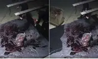 تصاویر لحظه قتل خاشقچی واقعی بود؟