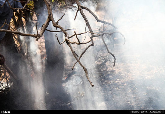 عکس: آتش‌ سوزی در جنگل‌ های کوهدشت