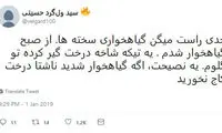 شوخی‌های جالب شبکه‌های اجتماعی؛ کریسمس و آغاز سال ۲۰۱۹