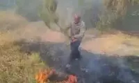 انسان واقعی این آقا است