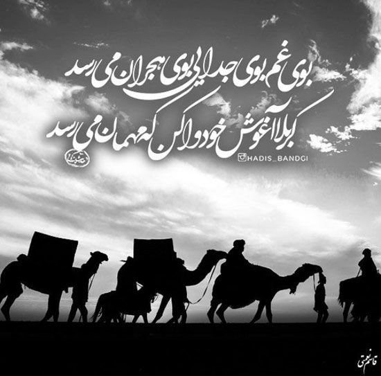 مینی شعر (312)