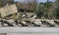 آموزش آمریکایی‌ها به مخالفان اسد +عکس