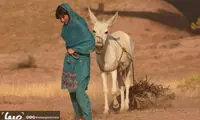 «سگ‌ها دیشب نخوابیدند» به صداگذاری رسید