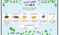 اینفوگرافی؛ کاهش استرس با چند گیاه