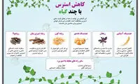 اینفوگرافی؛ کاهش استرس با چند گیاه
