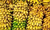 برای ارزانی موز تا تابستان صبر کنید!