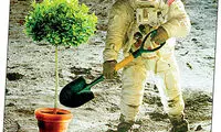 مرگ نخستین مزرعه فضایی؛ شکست «اکوسیستم زنده» چینی‌ها در ماه
