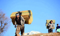 نماینده مهاباد: شأن جوانان ما بار ۲۰۰کیلویی‌ست؟