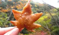 برگ سوخاری عجیب ژاپنی ها! +عکس