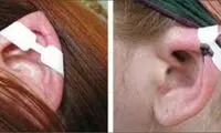 حبس و شلاق برای چشم گربه‌ای و گوش الاغی‌ها