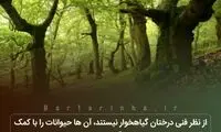 دانستنی‌های جالب (۲۷۵)