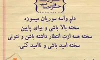 حرفِ دل، حرفِ حساب (22)