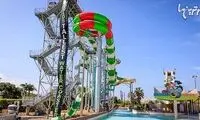 رکوردهای جالب و باورنکردنی گینس (11)