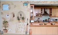 چه رنگي برای چه دیواری ؟