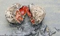 سنگی که دلش پر از خون است! +عکس