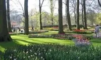 عکس هایی از زیباترین پارک بهاری جهان