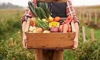 نشانه‌های سهم ناکافی سبزی‌ها در رژیم غذایی