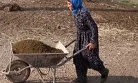 آمار عجیب از واردات لاستیک فرغون به ایران