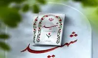 ۱۴ نیر‌وی سپاه امروز در زنجان شهید شدند