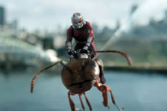 فیلم «مرد مورچه‌ای و زنبورک» نیم میلیاردی شدند