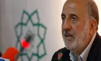 کاشت «درخت کاج» در تهران ممنوع شد