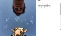 سلفی جالب بازیگر «رسوایی» با یک اسب