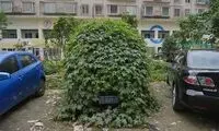 خودروی زامبی‌ها در چین! +عکس