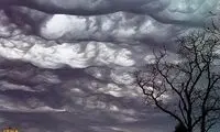 رونمايی از یک گونه جدید ابر پس از 60 سال