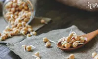 خواص جوانه‌ها برای سلامتی