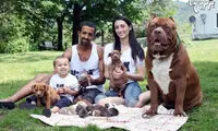 هالک؛ سگ غول پیکر و پدر مهربان