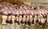 فروش گوشت لاکچری شکار در تهران