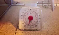 اعتراض در اینستاگرام علیه ممنوعیت سگ‌گردانی