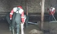 تلف شدن ۵۰راس گوسفند به دنبال بارندگی‌ها