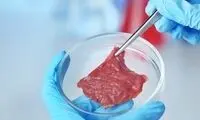 دلیل تاکید بیل گیتس بر مصرف گوشت مصنوعی