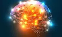 پیش‌بینی الگوهای فعالیتی مغزی ممکن شد