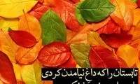 مینی شعر (307)