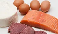 پروتئین حیوانی یا پروتئین گیاهی؟