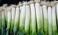 سبزیجات پاییزه شما را نجات می دهند