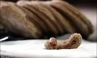 پیدا شدن بند انگشت انسان در بسته همبرگر!
