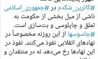 توئیت مطهری درباره ماجرای جنجالی کاترین شکدم