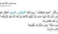 کنایه ضرغامی به تعطیلی روزنامه «وطن امروز»