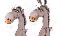 الاغ؛ قبل از عمل، بعد از عمل!