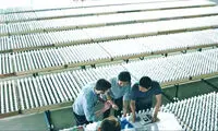 ال جی رکورد جدید زد