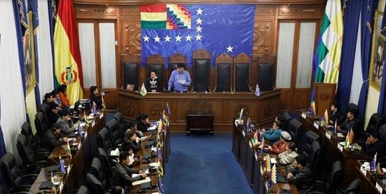 سنایِ بولیوی، انتخابات را باطل کرد