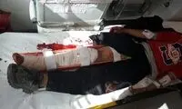 حمله خرس به یک کودک در چهارمحال و بختیاری