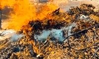 کشف ۳.۵ تن ماری‌جوانا در ایذه