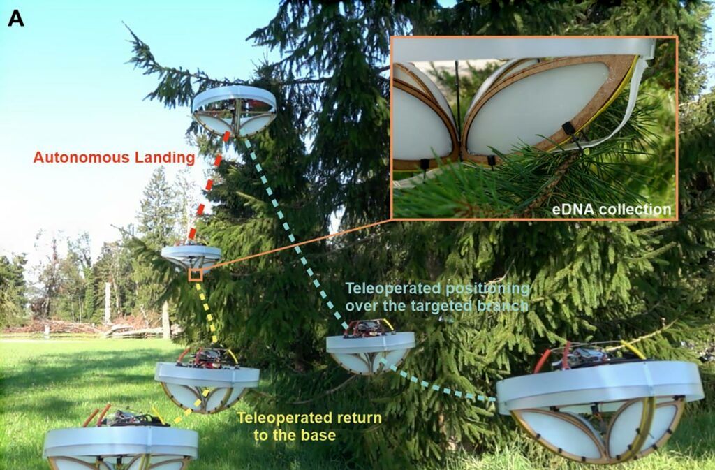 این پهپاد دی‌ان‌ای درختان را جمع‌آوری می‌کند!