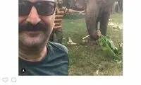 بهبود چه زمانی به «پایتخت» برمی‌گردد؟