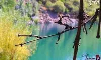 بهشت ناشناخته در پاکستان +عکس