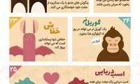 اینفوگرافی: 50 حقیقت شگفت انگیز درباره حیوانات